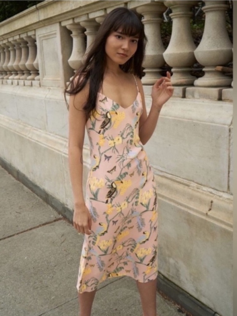 Reformation Chianti congo dress